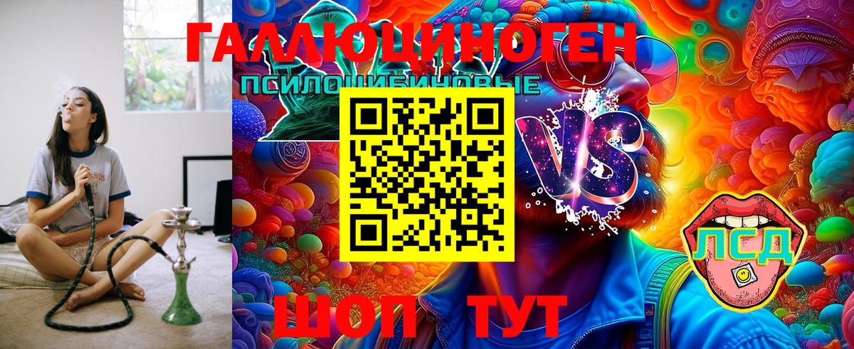 Галлюциногенные грибы GOLDEN TEACHER  Вход с VPN  Сергиев Посад 
